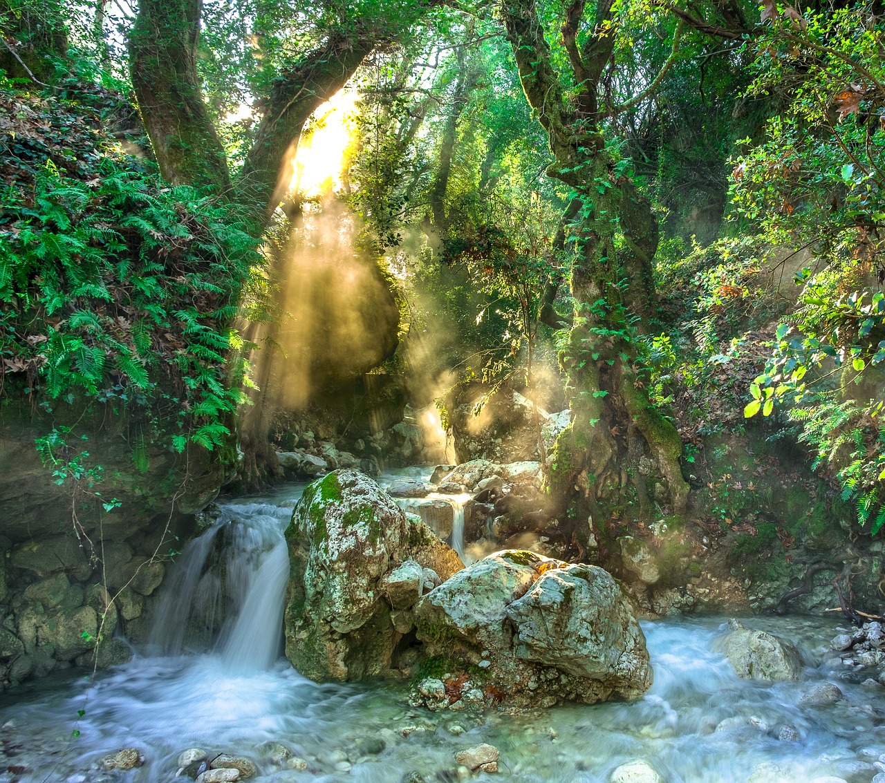 IMG-BLOG