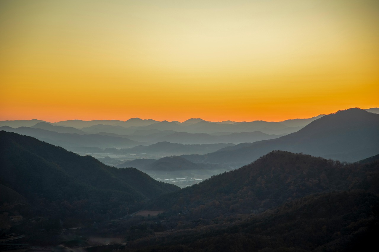 IMG-BLOG