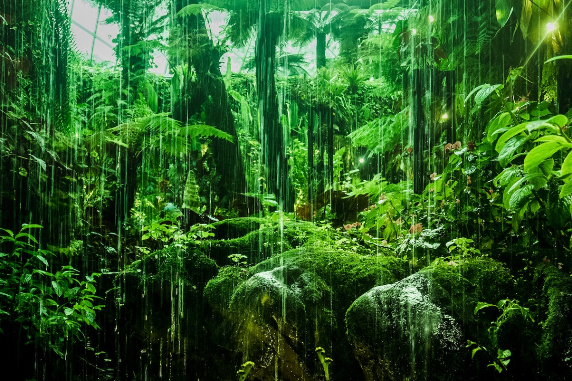 IMG-BLOG