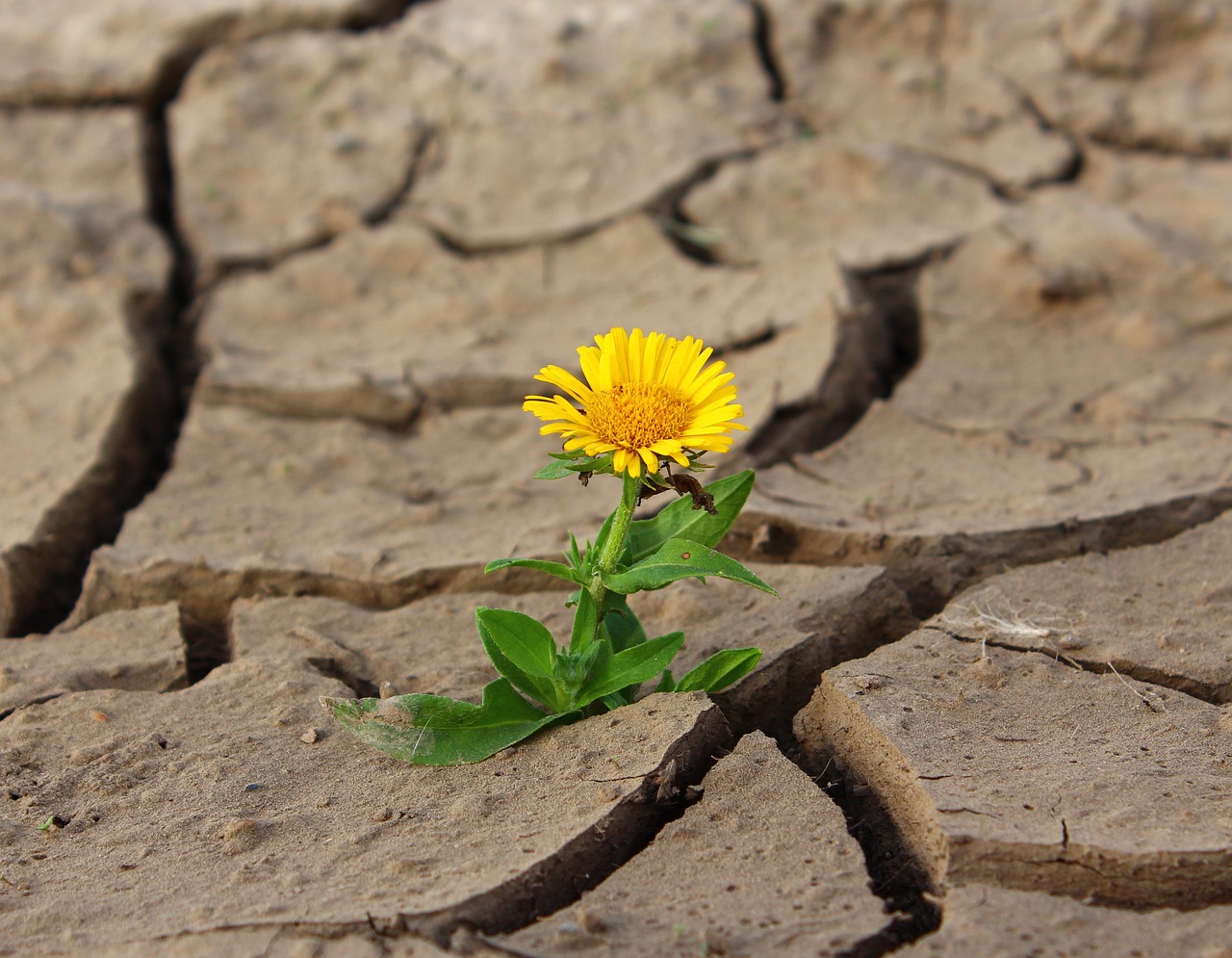 IMG-BLOG