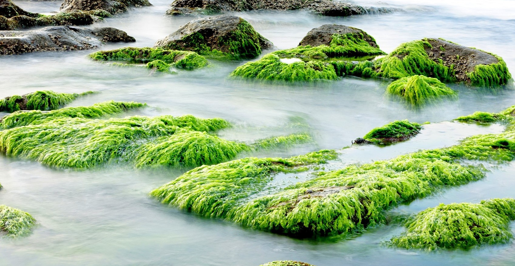 IMG-BLOG