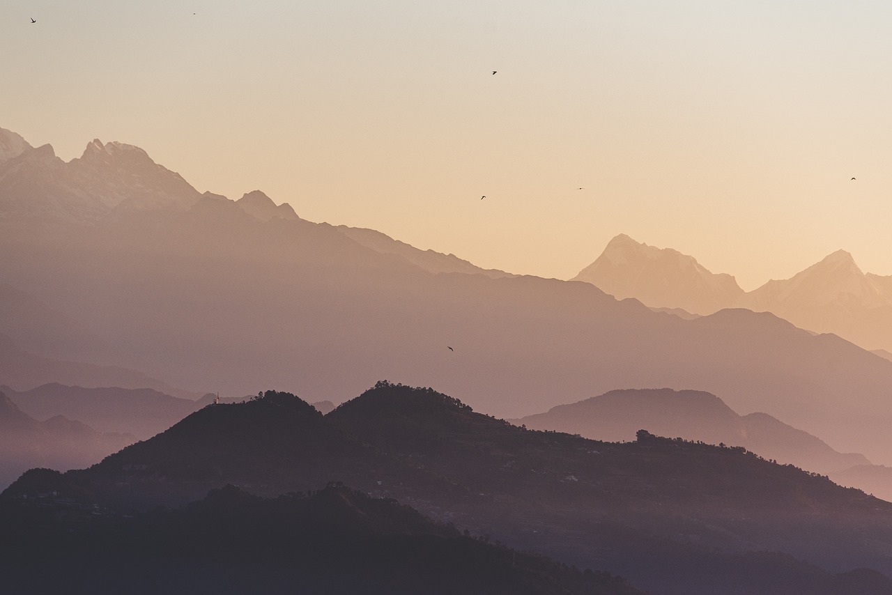 IMG-BLOG