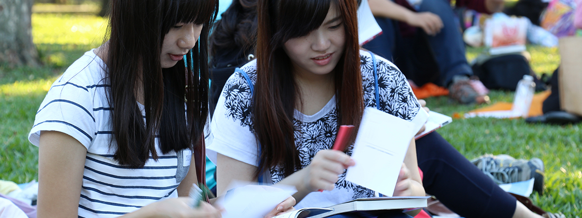 IMG-BLOG