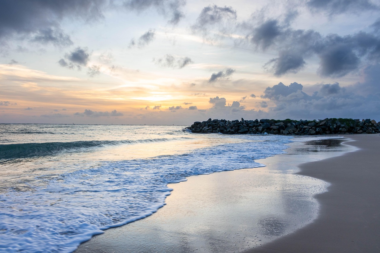 IMG-BLOG