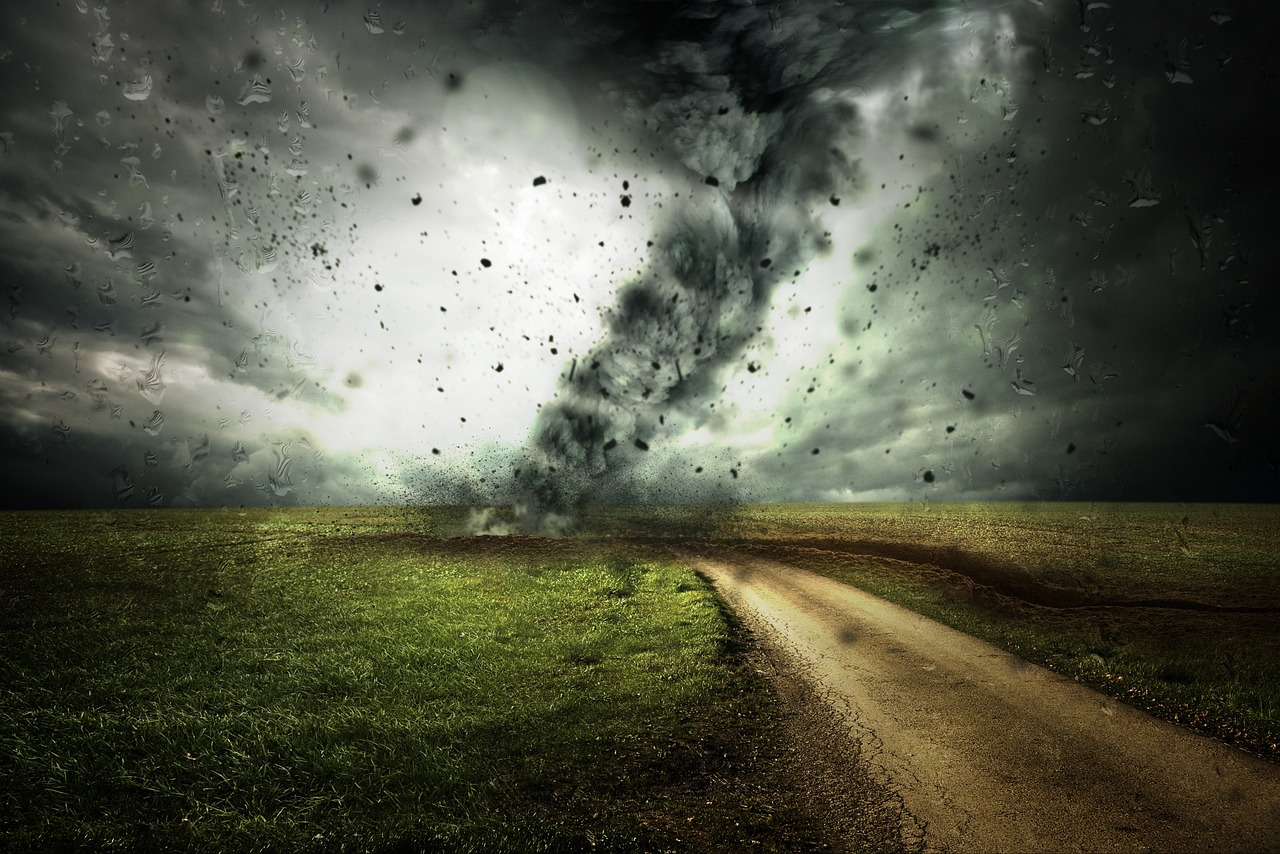 IMG-BLOG