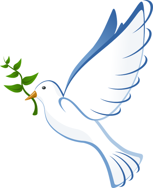 IMG-BLOG