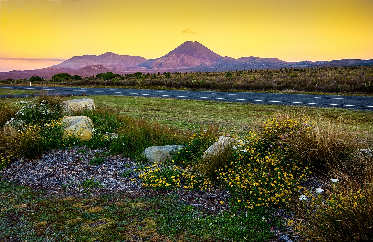 IMG-BLOG