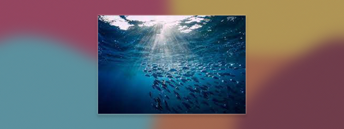IMG-BLOG