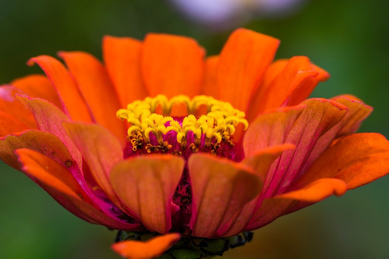 IMG-BLOG