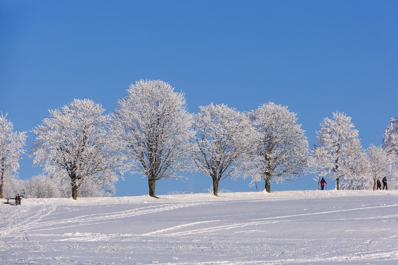 IMG-BLOG