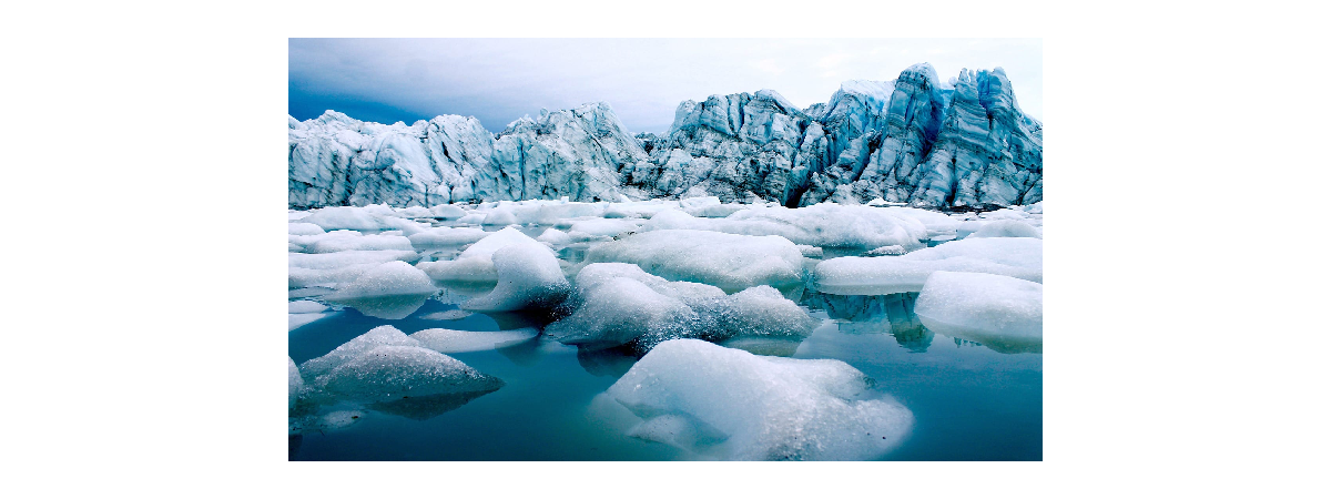 IMG-BLOG